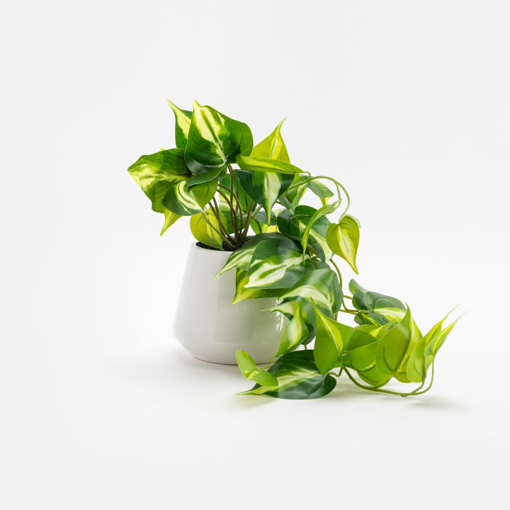 עציץ מלאכותי אלון