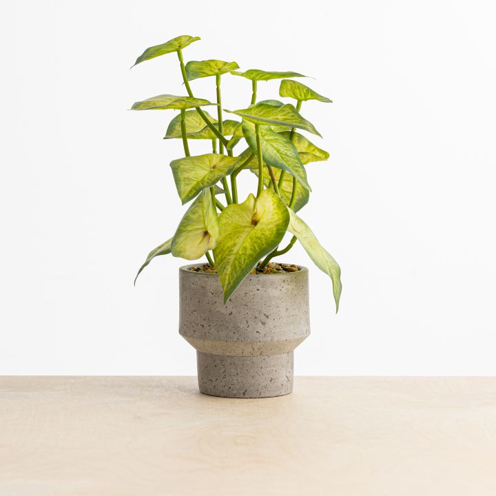 עציץ מלאכותי אנדריי