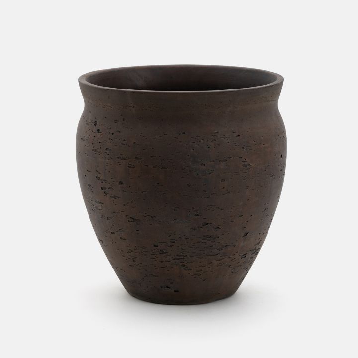 עציצון אנדרה