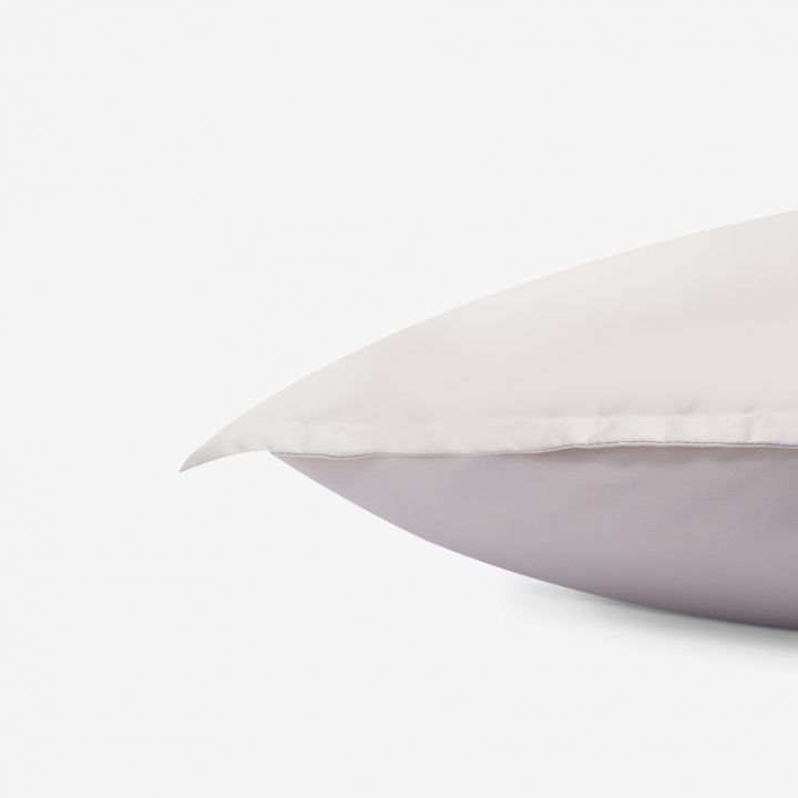 ציפית סאטן טוליפ גאלרי