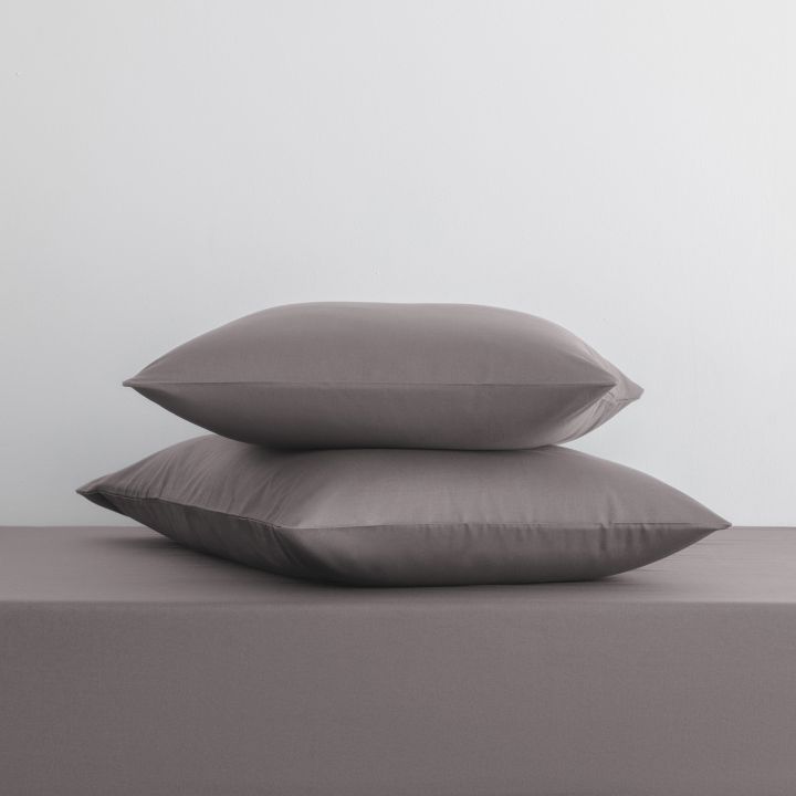 ציפית כותנה