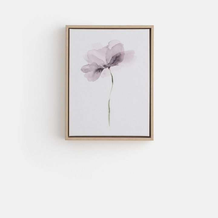 תמונת קיר טיטי