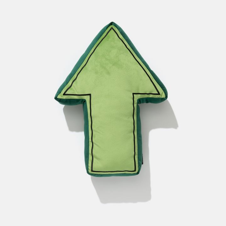 כרית נוי חץ TAKI