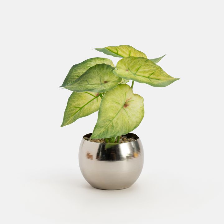 עציץ מלאכותי דומה