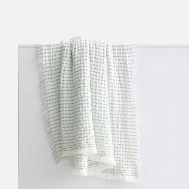 כירבולית ג’יל