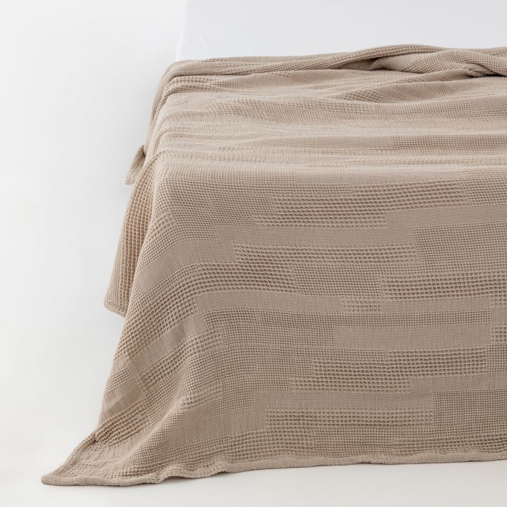 כירבולית ניל