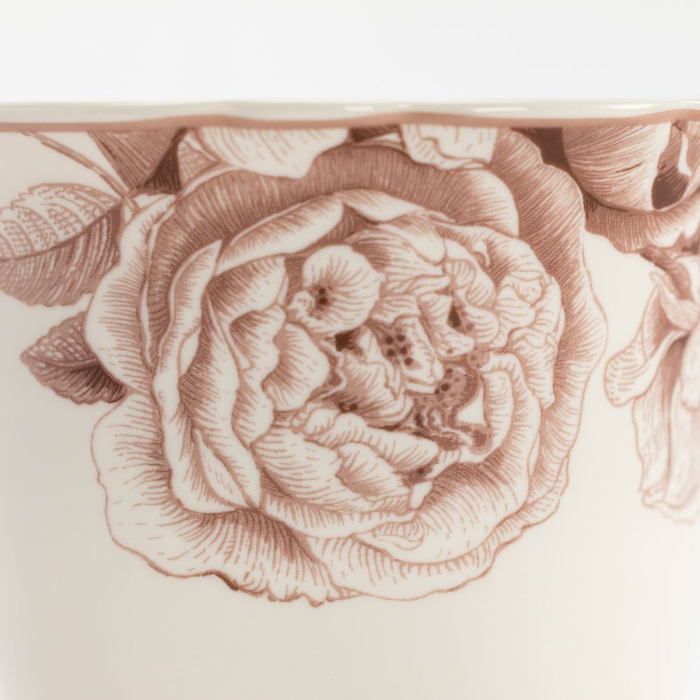 ספל ותחתית גרדניה