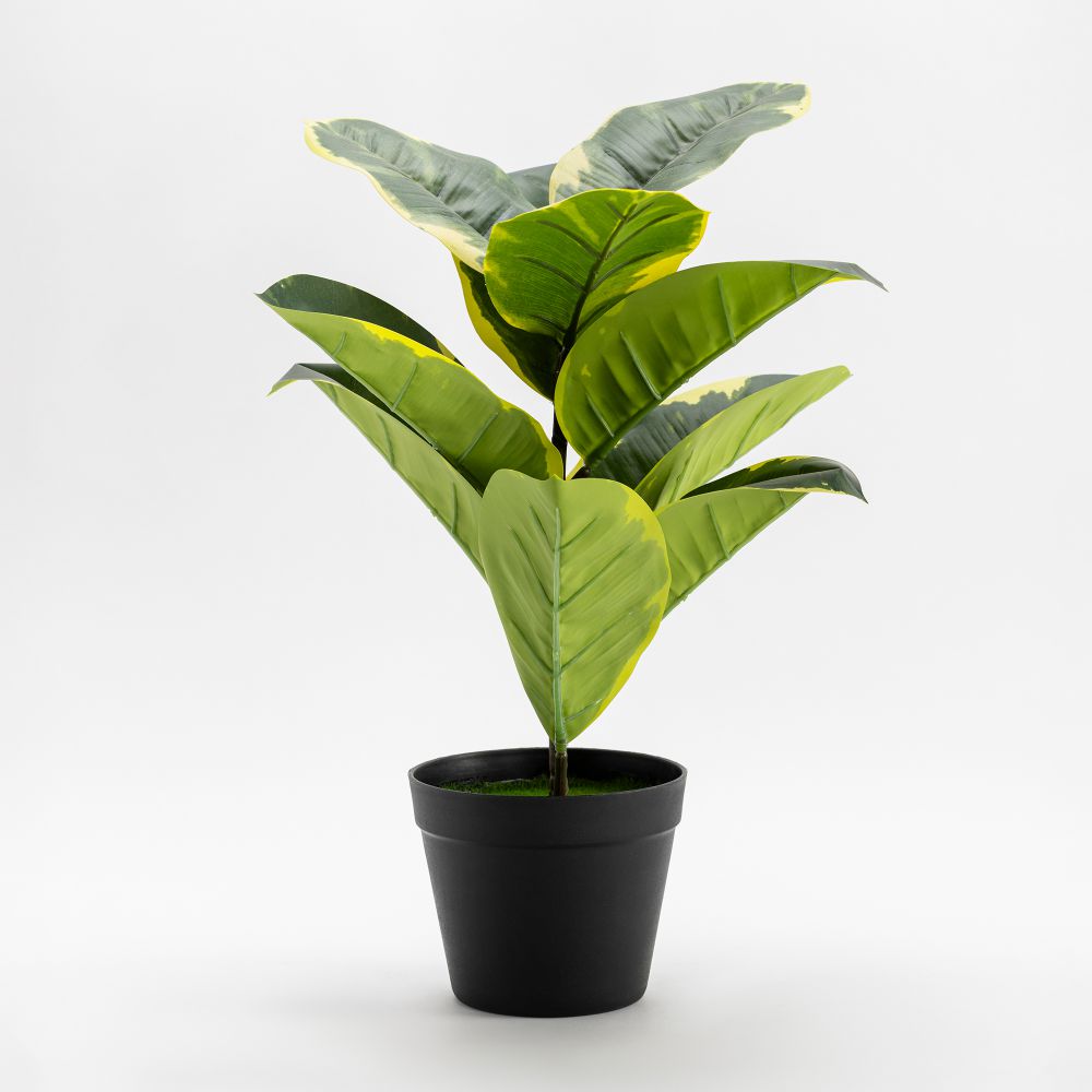 עציץ מלאכותי פולי