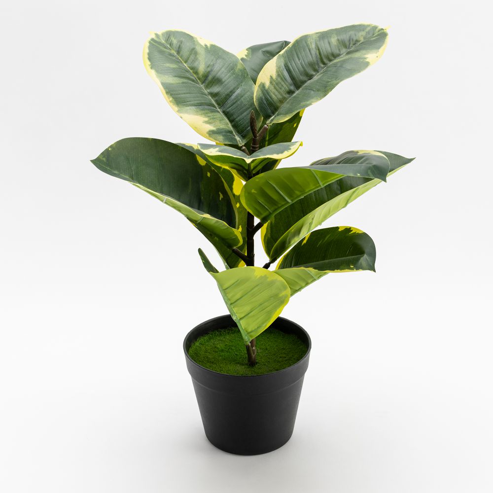 עציץ מלאכותי פולי