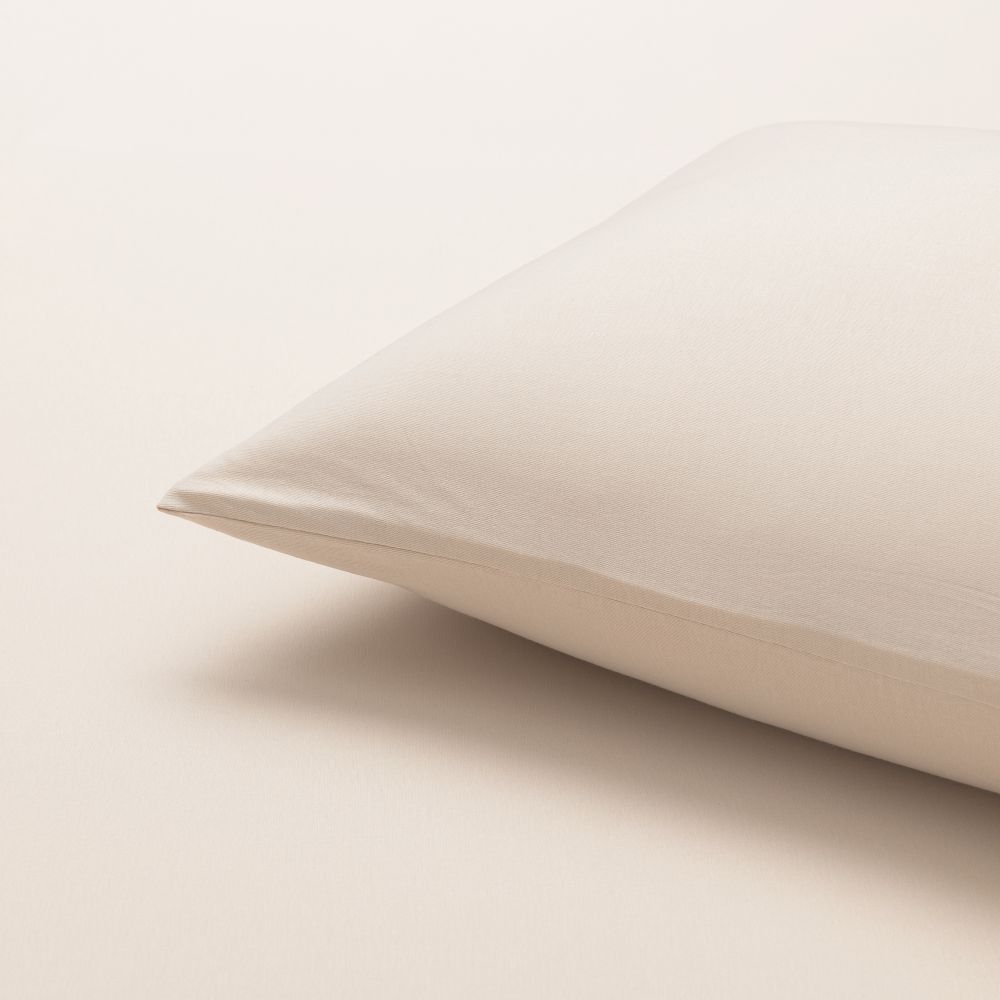 ציפית כותנה ג’רסי