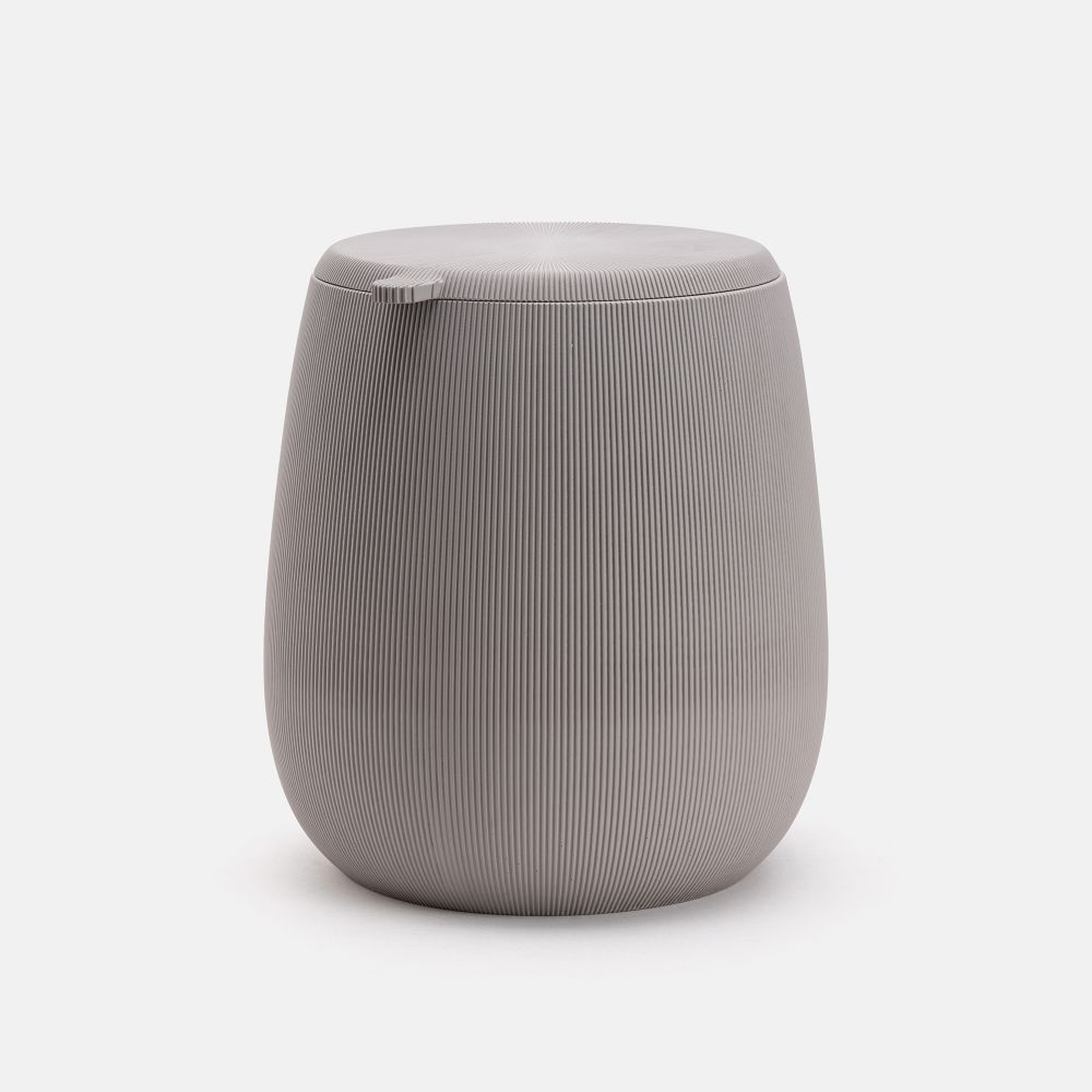 פח אשפה בג’ה