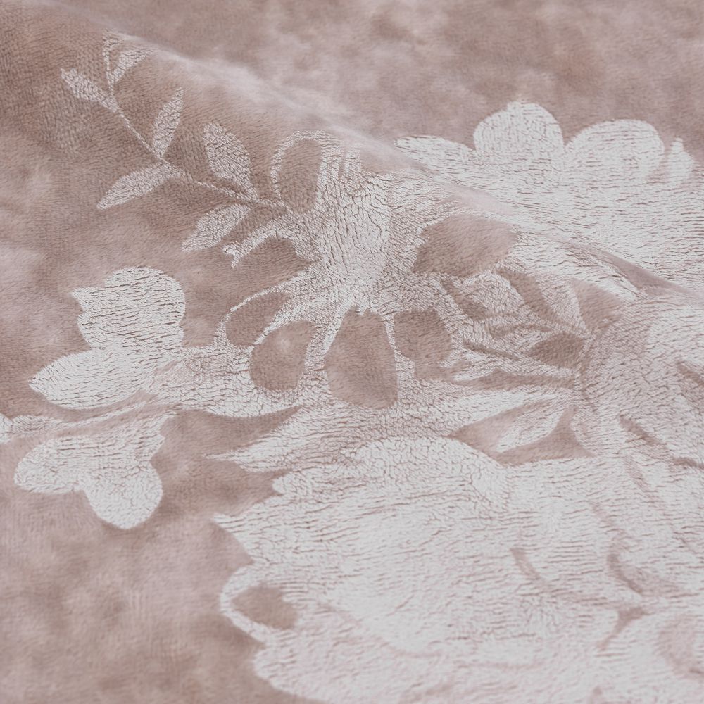 כירבולית לילי