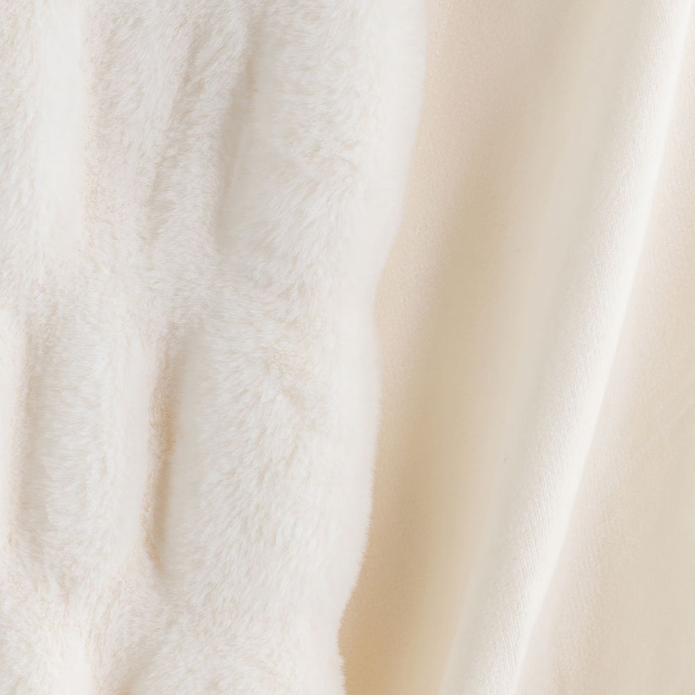 כרבולית ניל