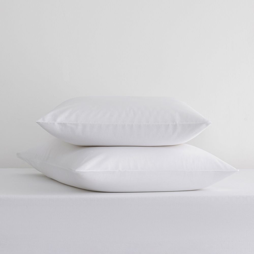 ציפית כותנה