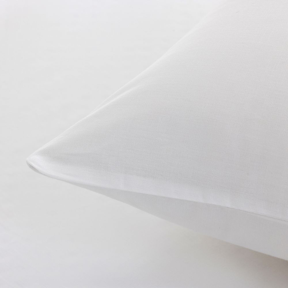 ציפית כותנה