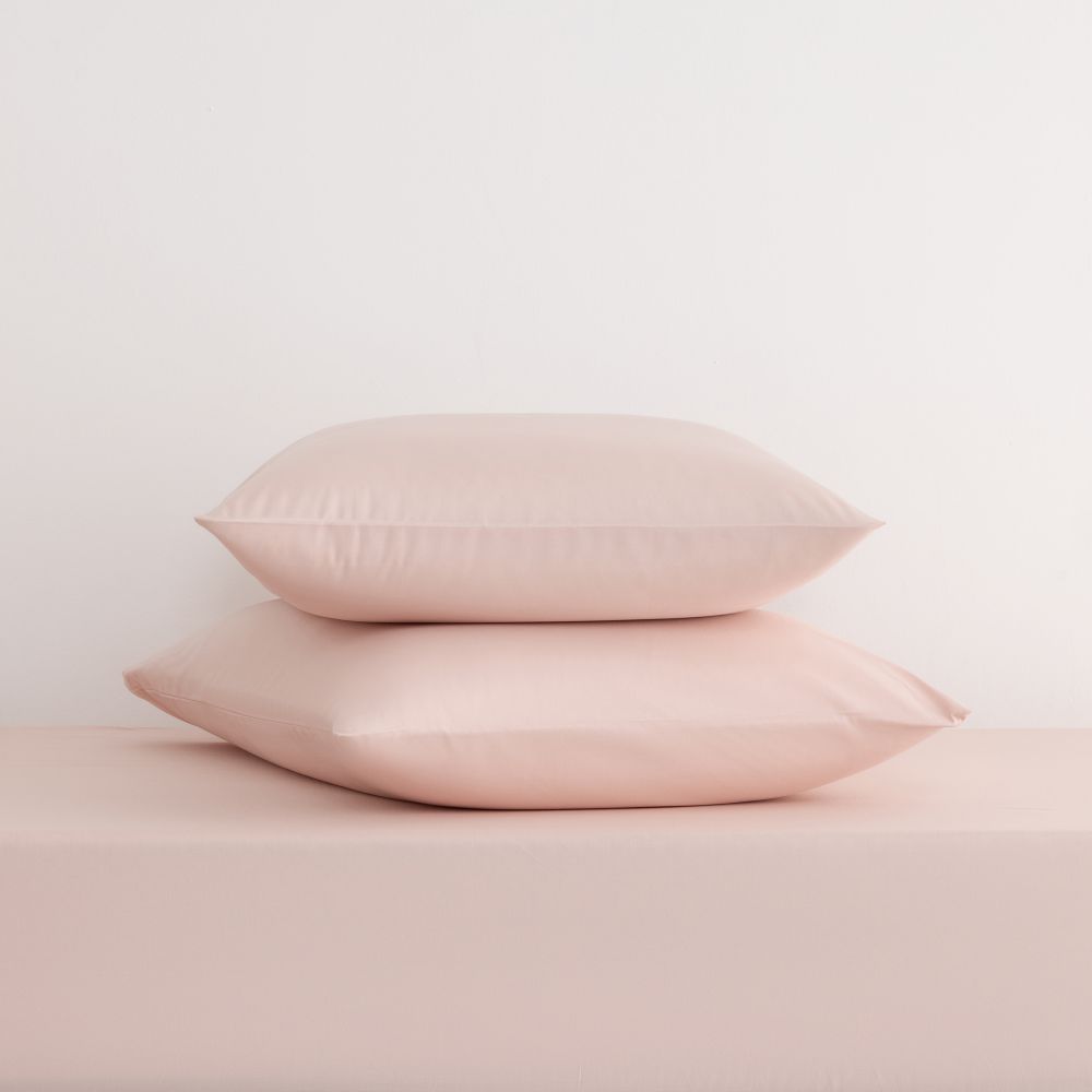 ציפית כותנה