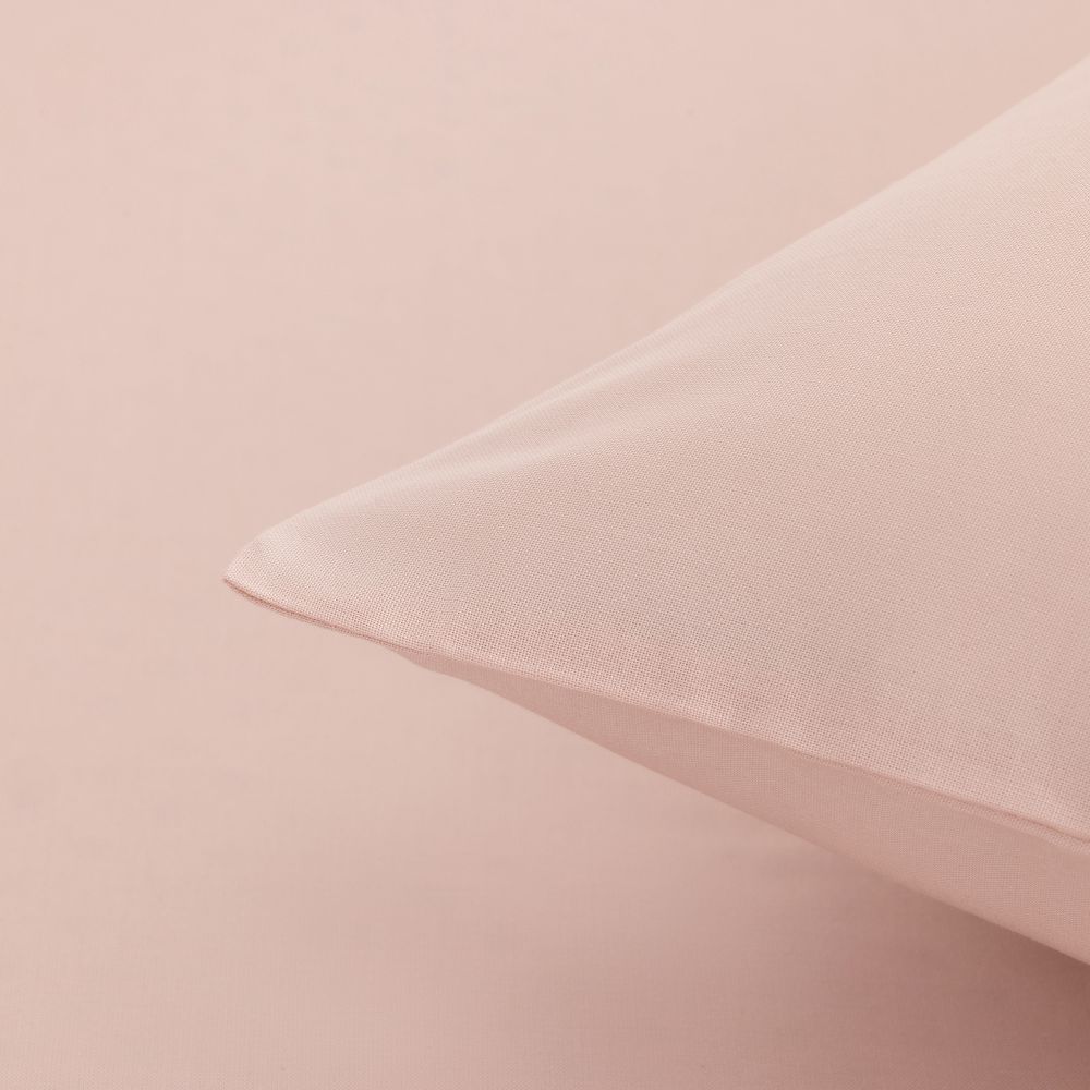 ציפית כותנה