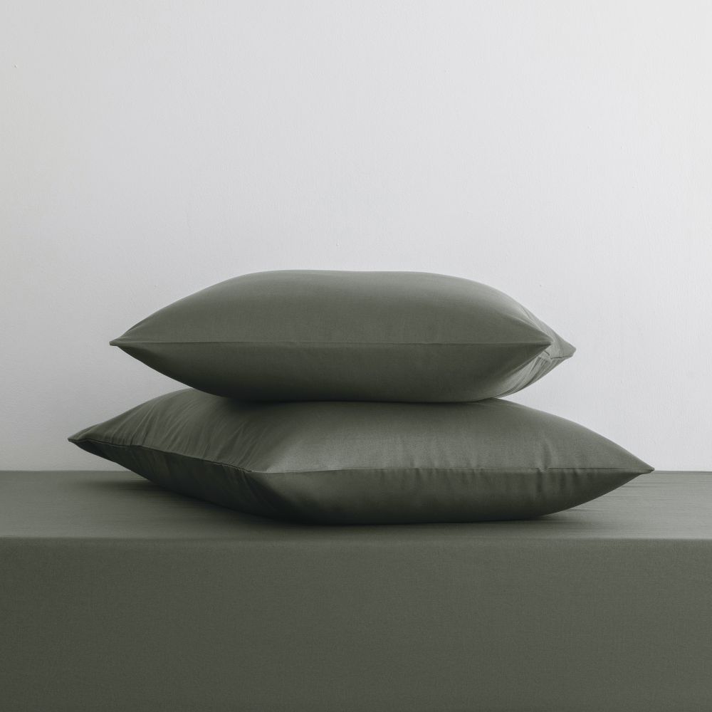 ציפית כותנה