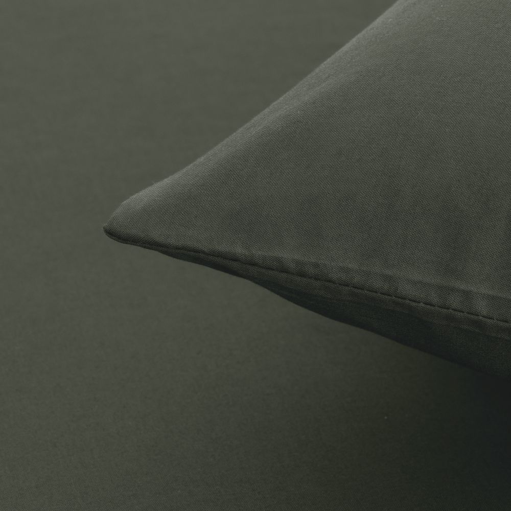 ציפית כותנה