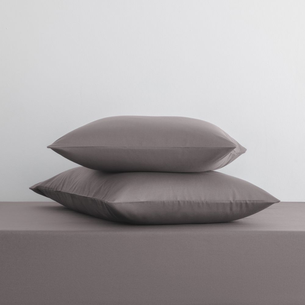 ציפית כותנה