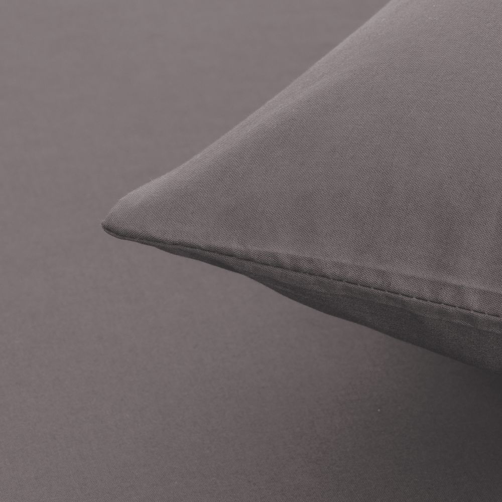 ציפית כותנה