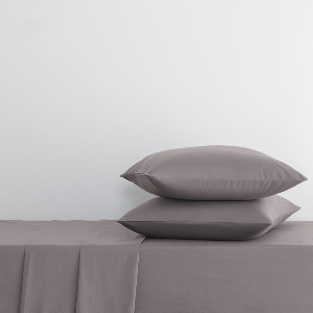 ציפית כותנה