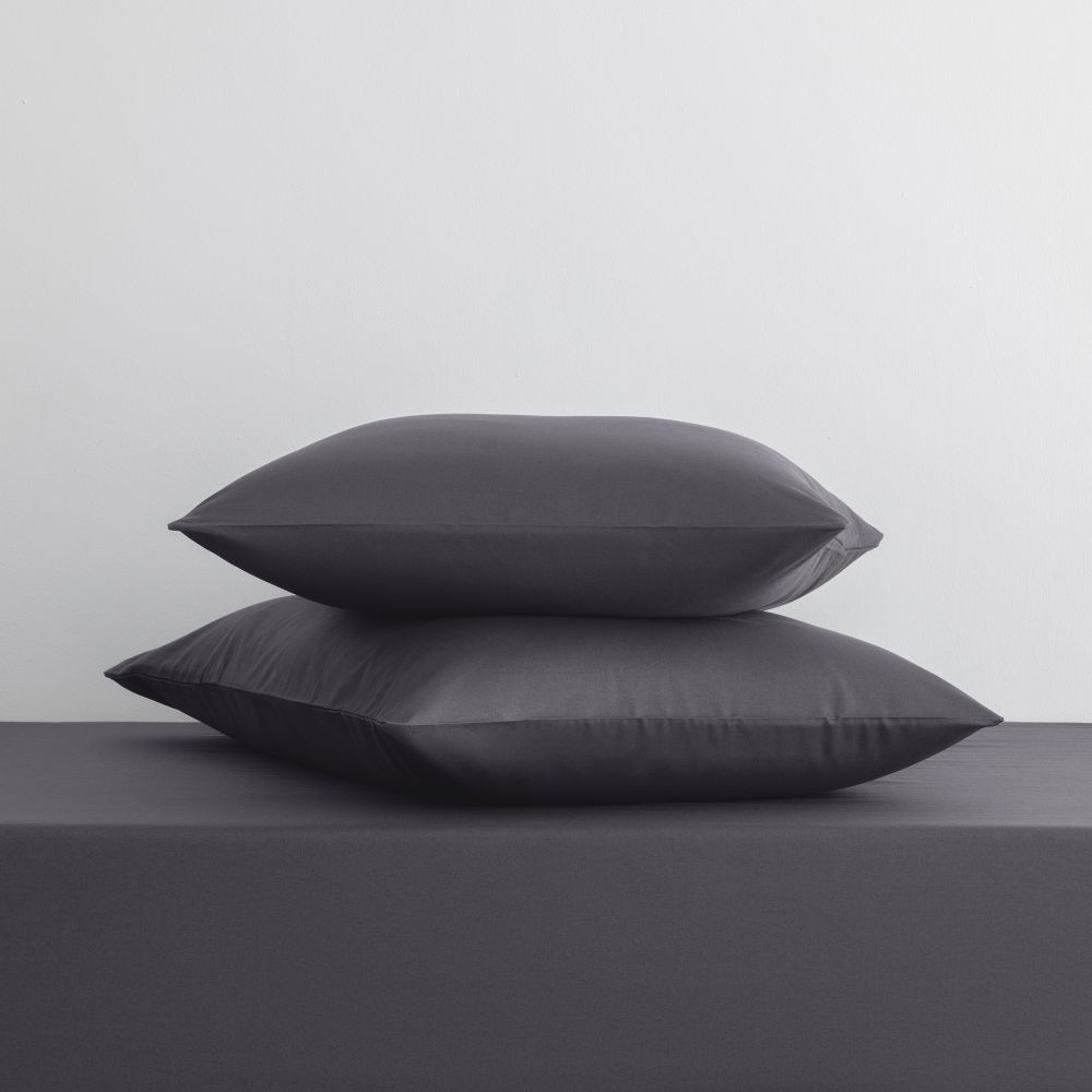 ציפית כותנה