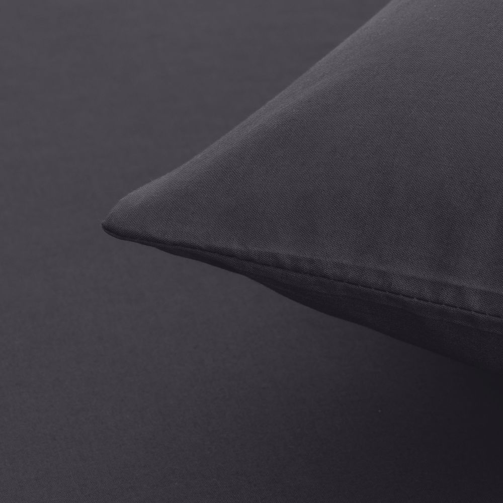 ציפית כותנה