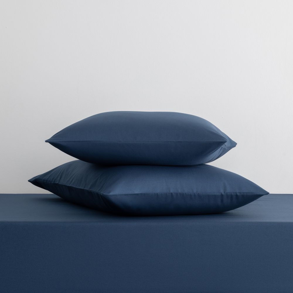 ציפית כותנה