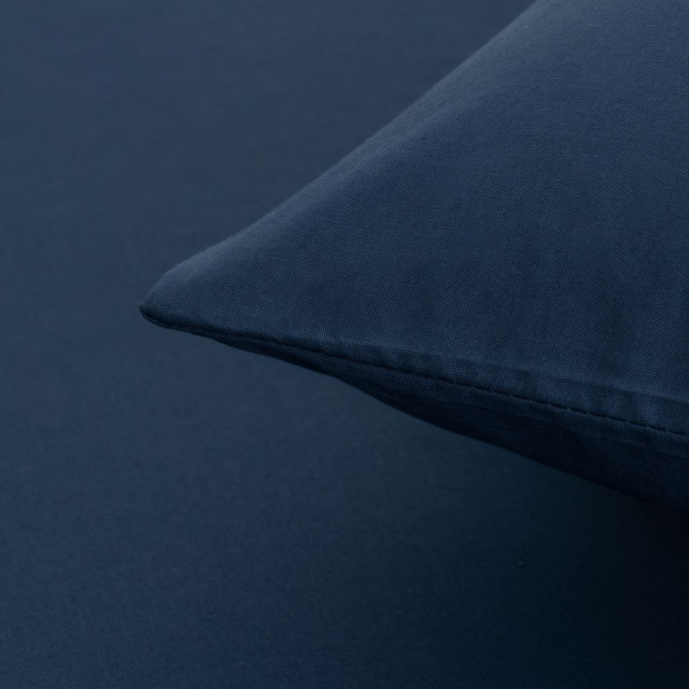 ציפית כותנה