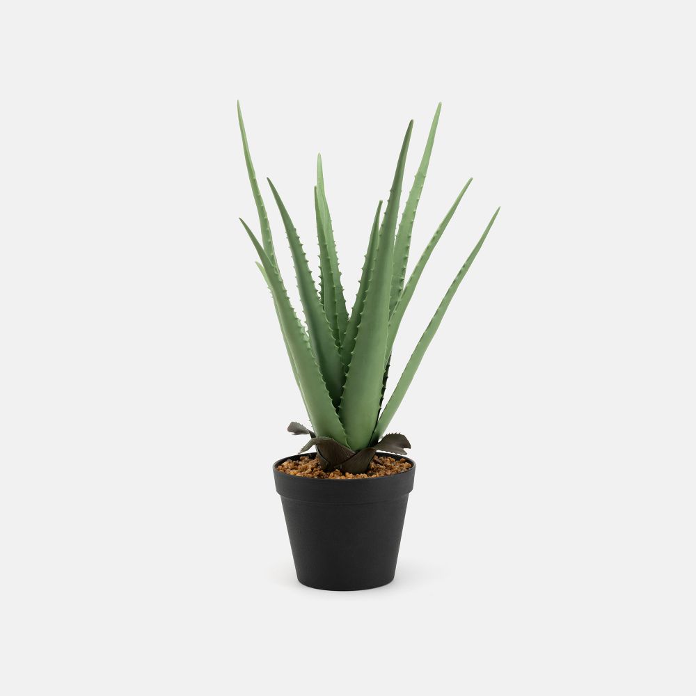 עציץ מלאכותי רובו