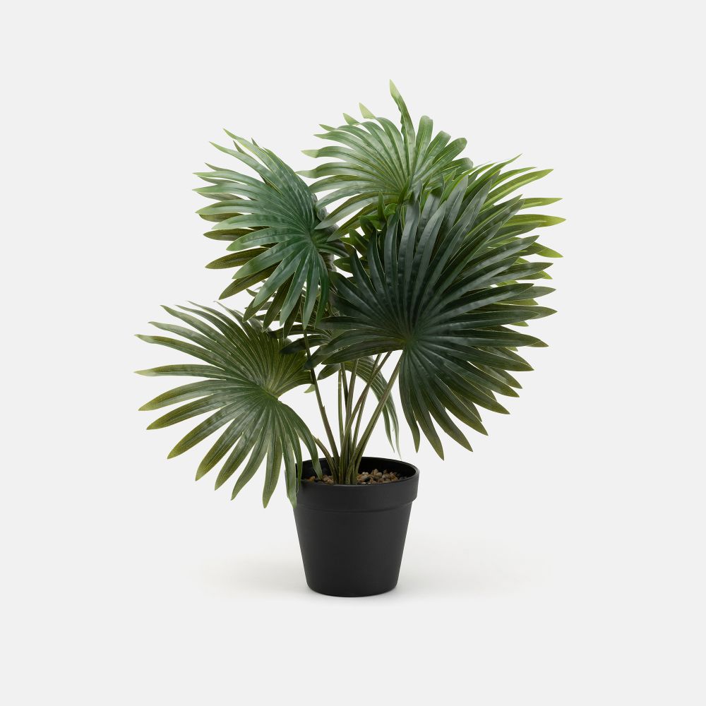 עציץ מלאכותי מוסה