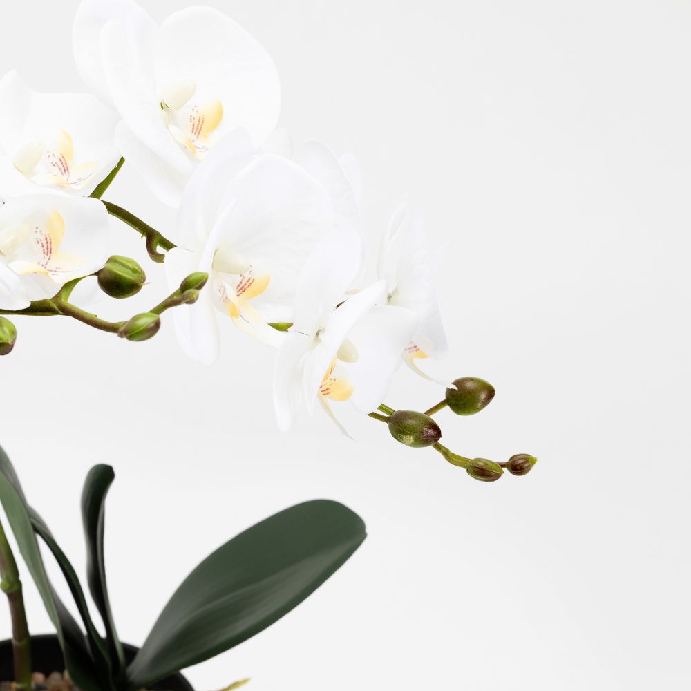 עציץ מלאכותי לורו