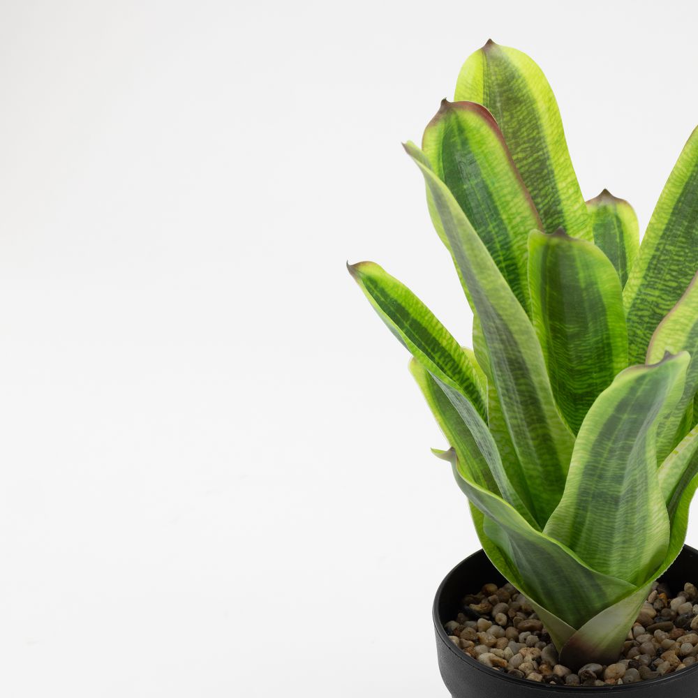 עציץ מלאכותי מאוו