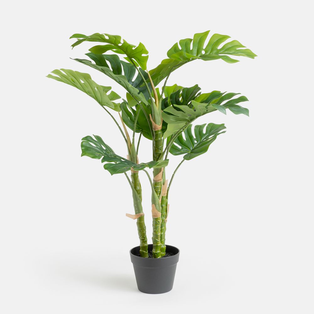 עציץ מלאכותי טניה