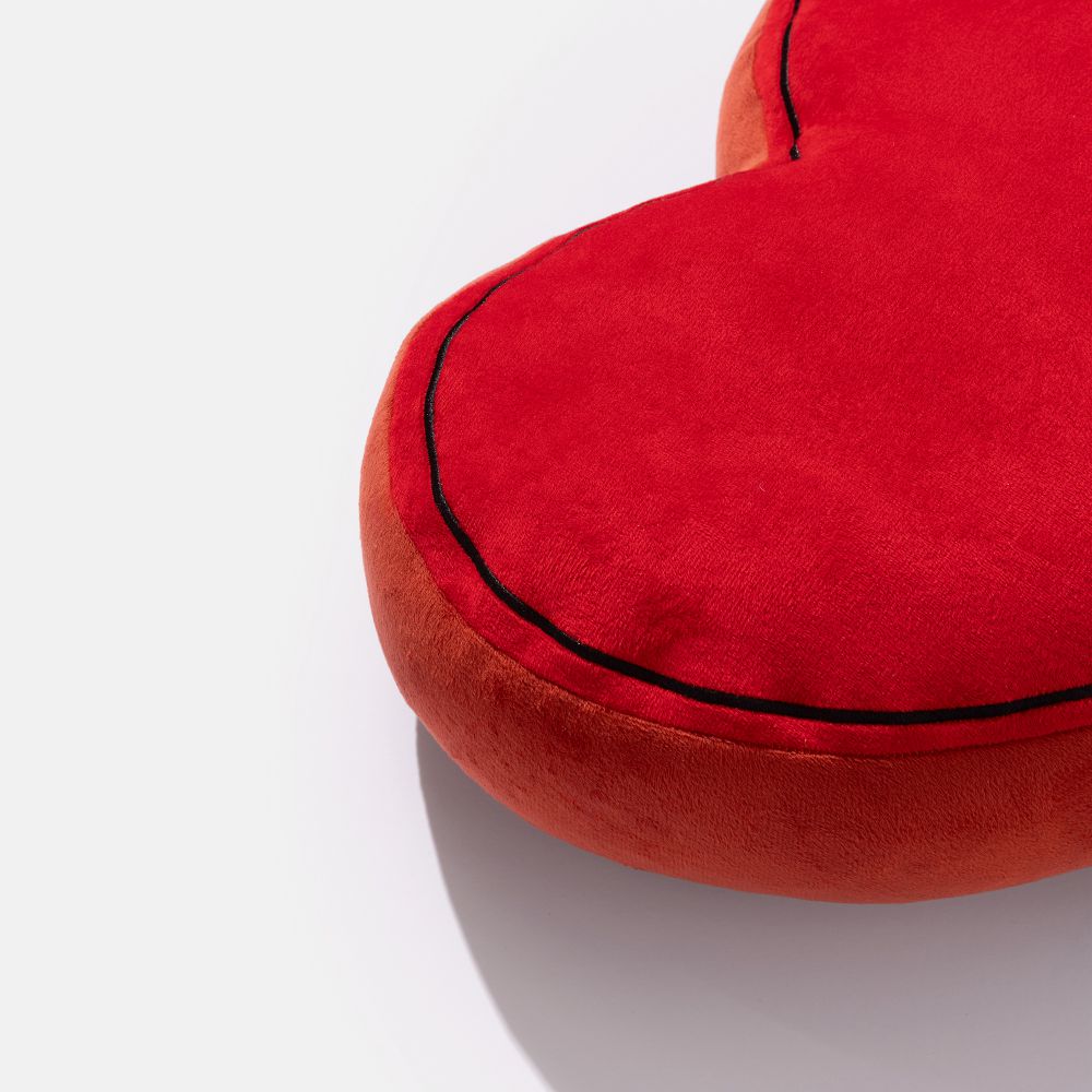 כרית נוי לאב טאקי