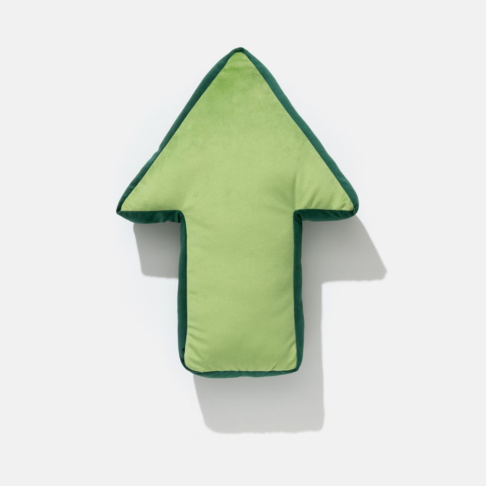 כרית נוי חץ TAKI