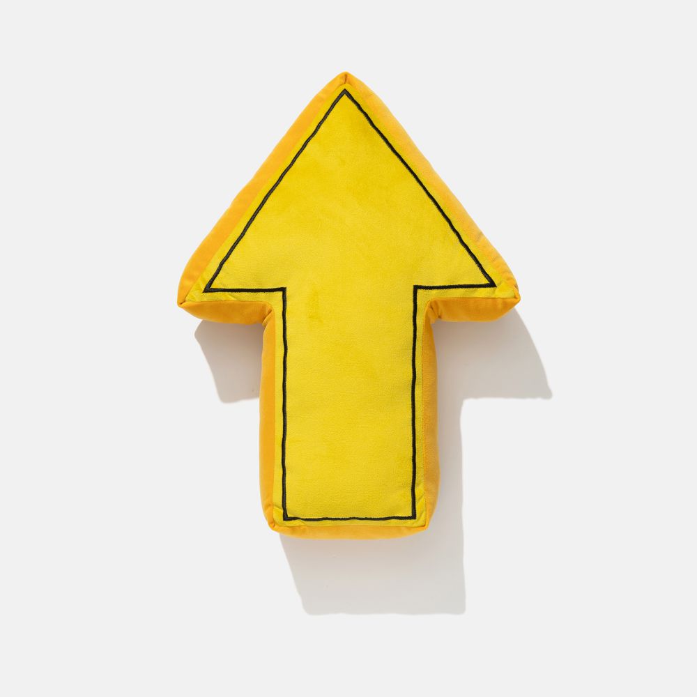 כרית נוי חץ TAKI