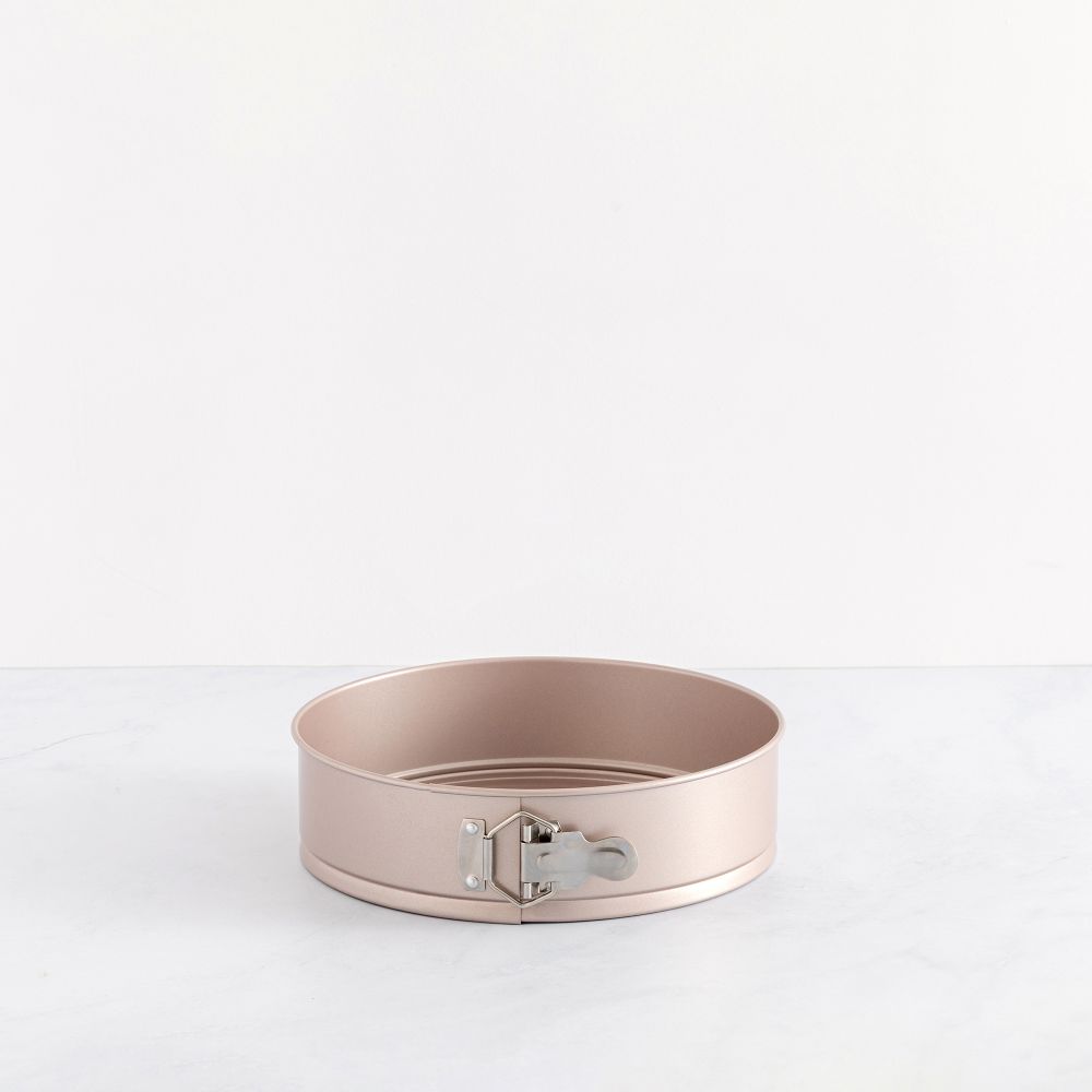 תבנית קפיץ FOODY