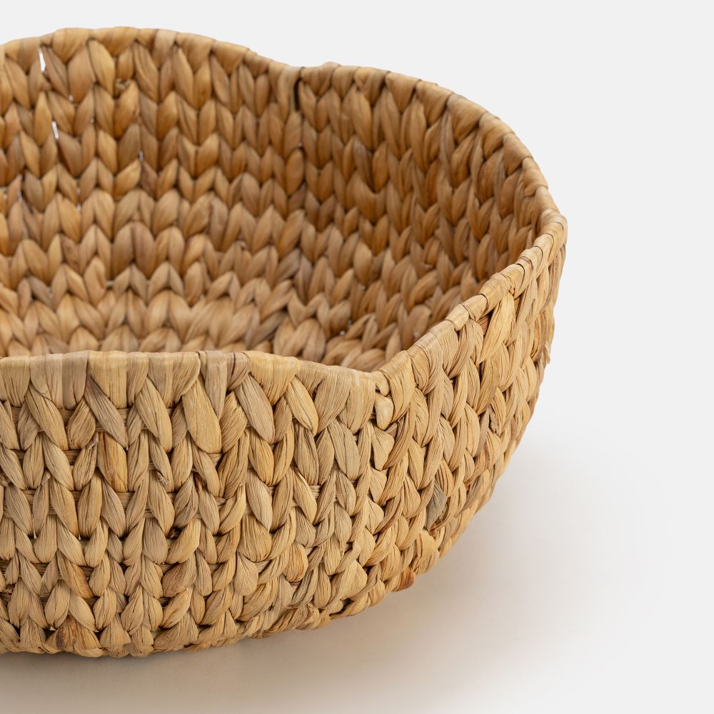 קערת נוי זינו