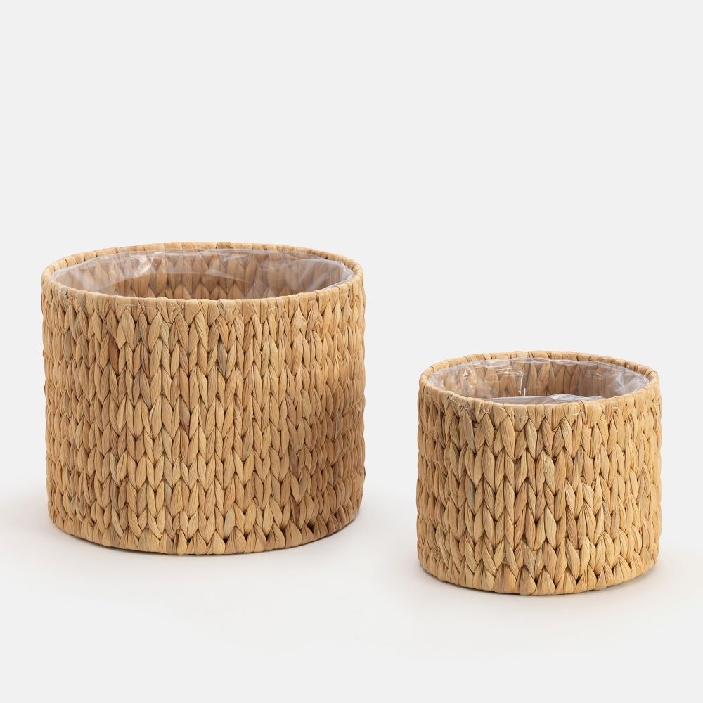 עציצון קאנו