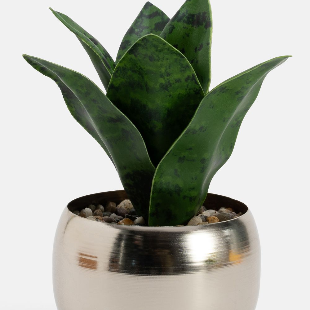 עציץ מלאכותי ארלי