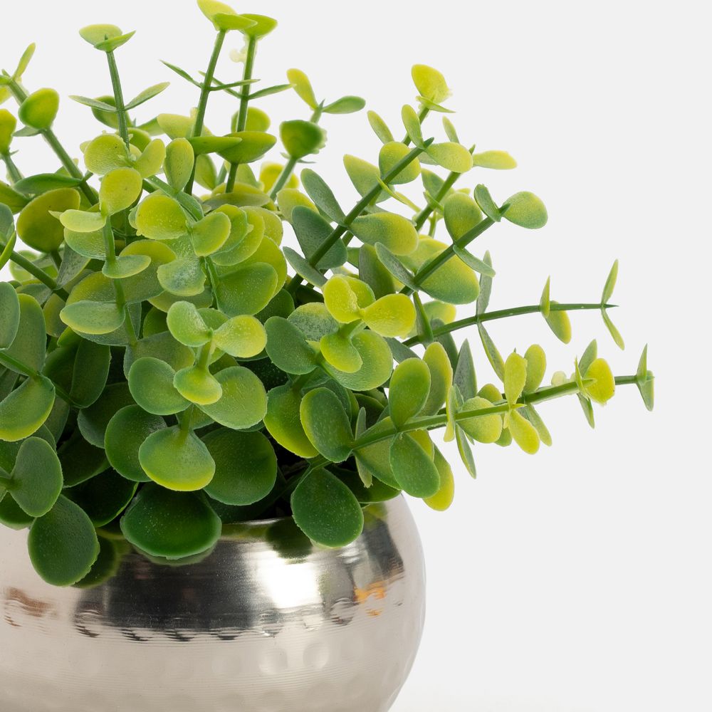 עציץ מלאכותי סוי