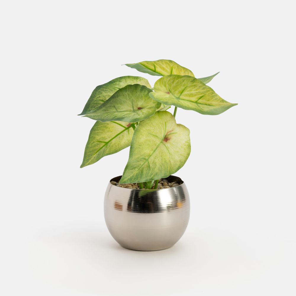 עציץ מלאכותי דומה