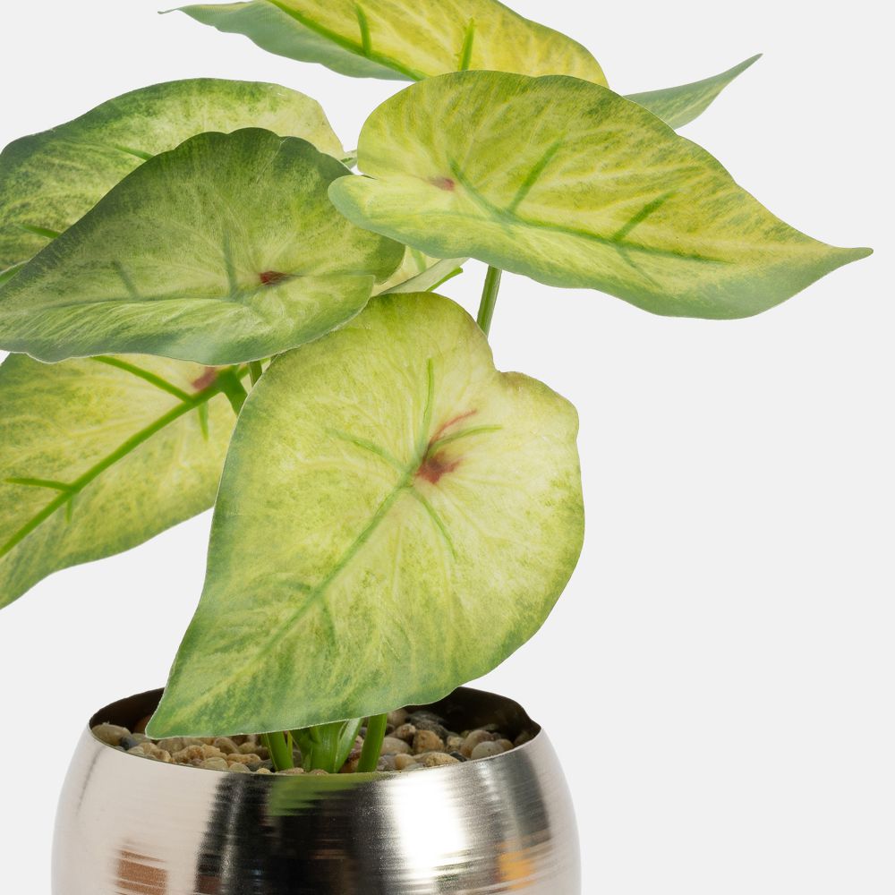 עציץ מלאכותי דומה