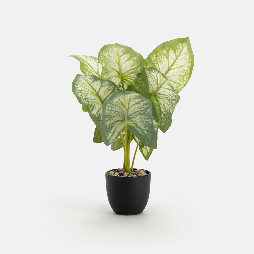 עציץ מלאכותי גרינלי