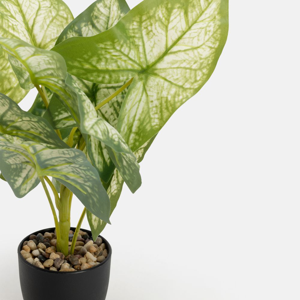 עציץ מלאכותי גרינלי