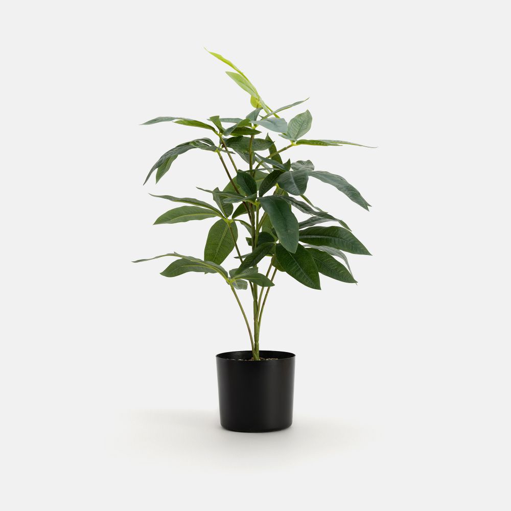 עציץ מלאכותי רשל