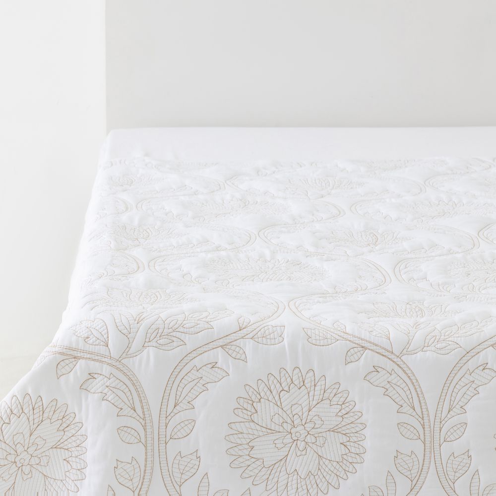 כ.מיטה פאולין