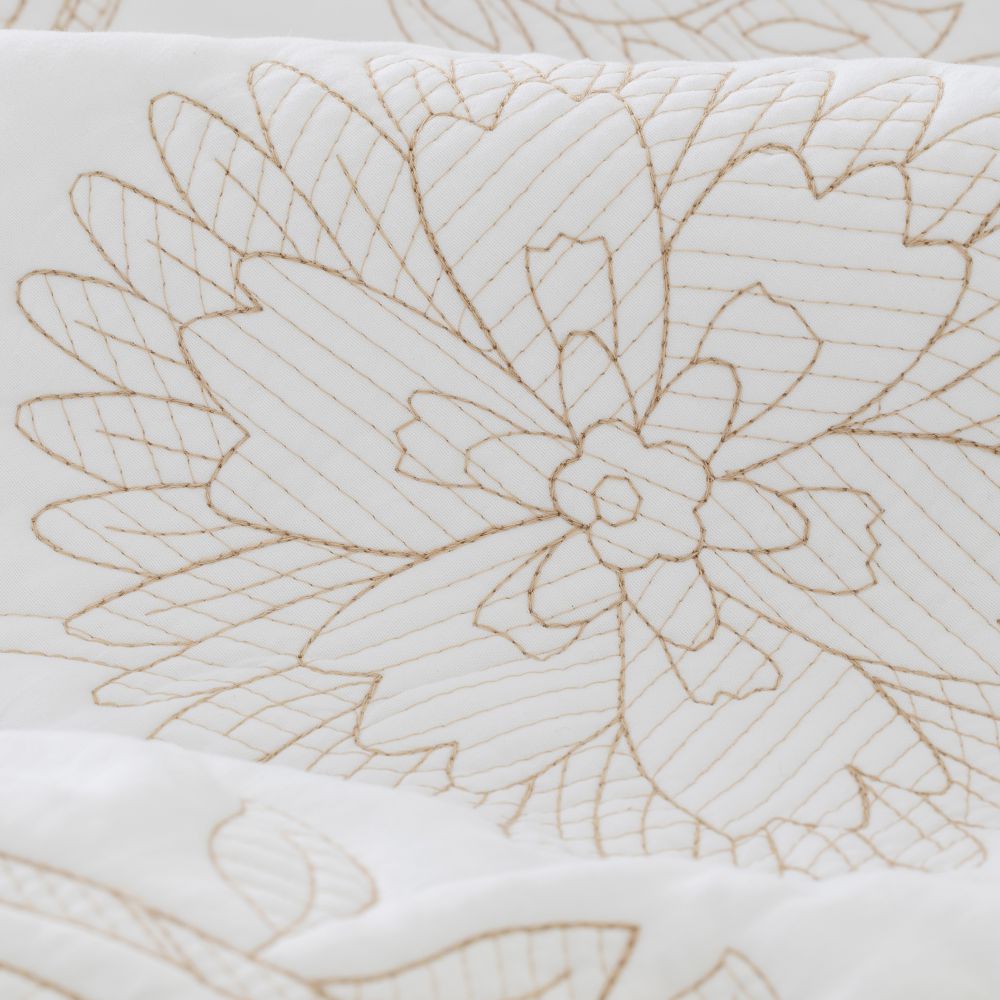 כ.מיטה פאולין